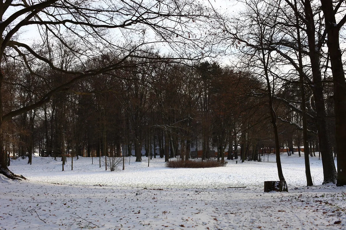 Chodová Planá Beer Spa Review: Is It Worth a Visit?